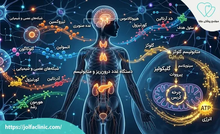 بیماری غدد و متابولیسم چیست