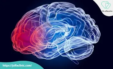 وظایف لوب پیشانی