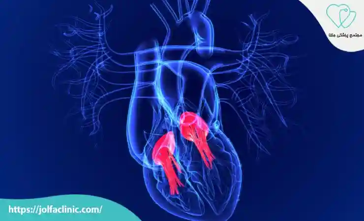 بیماری های دریچه ای قلب