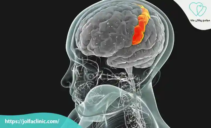 لوب آهیانه ای