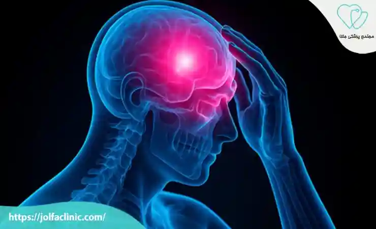 بزرگترین لوب مغز