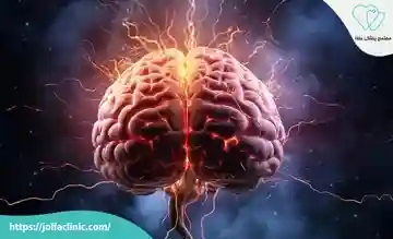 وظایف لوب های مغز