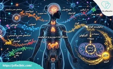 بیماری غدد و متابولیسم چیست؟